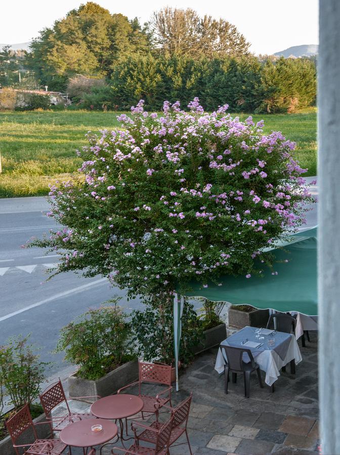 Tuscan Sun Holiday Apartments Lucca Luaran gambar